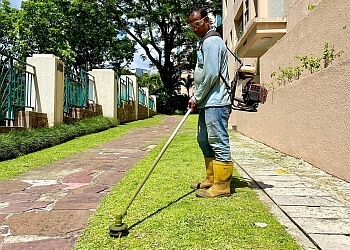 Bukit Batok Landscaping Companies Chen Wa Landscape Pte Ltd. image 3 Bukit Batok Landscaping Companies Chen Wa Landscape Pte Ltd. image 3