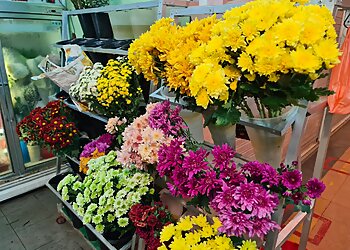 Buona Vista Flowers And Gifts Shops Chuin's Petals & Gifts image 3 Buona Vista Flowers And Gifts Shops Chuin's Petals & Gifts image 3