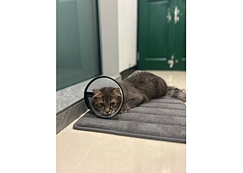 Geylang Veterinary Clinics Clinic for Pets image 3 Geylang Veterinary Clinics Clinic for Pets image 3