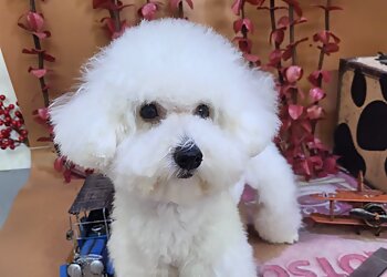 Little India Pet Services Coco Pet Grooming Saloon image 3 Little India Pet Services Coco Pet Grooming Saloon image 3