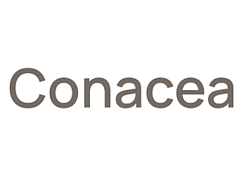 Toa Payoh Managed IT Services Conacea Pte. Ltd. image 1
