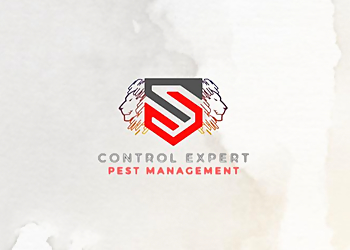 Bishan Pest Control Companies Control Expert Pest Management Pte. Ltd. image 3 Bishan Pest Control Companies Control Expert Pest Management Pte. Ltd. image 3