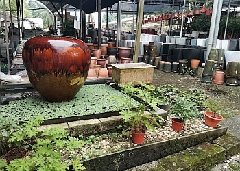 Corona Florist & Nursery photo Corona Florist & Nursery