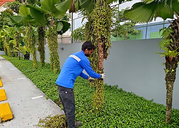 Country Cousins photo Country Cousins