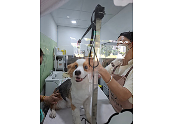 Bukit Merah Pet Services Cute Pets image 3 Bukit Merah Pet Services Cute Pets image 3
