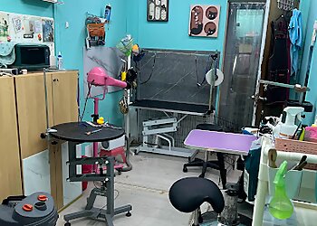 Jurong West Pet Services Cutie Paws image 2 Jurong West Pet Services Cutie Paws image 2