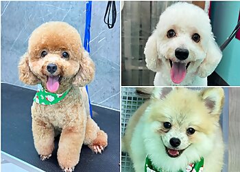 Jurong West Pet Services Cutie Paws image 3 Jurong West Pet Services Cutie Paws image 3