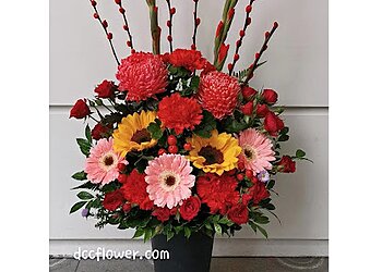 Clementi Flowers And Gifts Shops DCCFlower image 3 Clementi Flowers And Gifts Shops DCCFlower image 3