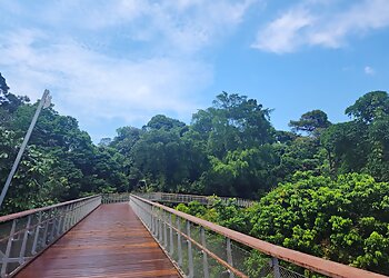Bukit Panjang Public Parks Dairy Farm Nature Park image 2 Bukit Panjang Public Parks Dairy Farm Nature Park image 2