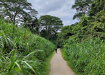 Bukit Panjang Public Parks Dairy Farm Nature Park image 3 Bukit Panjang Public Parks Dairy Farm Nature Park image 3