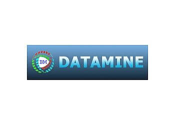 Datamine IT Services Pte Ltd.