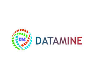 Datamine IT Services Pte Ltd.