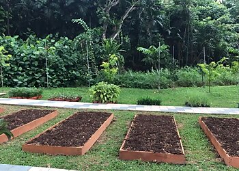 Boon Lay Landscaping Companies ET Landscape & Services image 2 Boon Lay Landscaping Companies ET Landscape & Services image 2