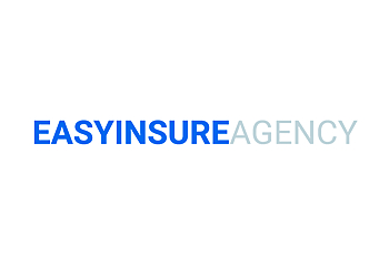 Bedok Insurance Agencies Easyinsure Agency image 1