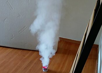 EndTimesPest photo EndTimesPest