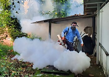 Tampines Pest Control Companies Endpest Pte. Ltd. image 2 Tampines Pest Control Companies Endpest Pte. Ltd. image 2