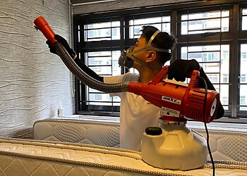 Tampines Pest Control Companies Endpest Pte. Ltd. image 3 Tampines Pest Control Companies Endpest Pte. Ltd. image 3