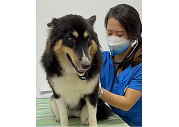 Bedok Veterinary Clinics EverVet Veterinary Clinic image 2 Bedok Veterinary Clinics EverVet Veterinary Clinic image 2