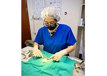 Bedok Veterinary Clinics EverVet Veterinary Clinic image 3 Bedok Veterinary Clinics EverVet Veterinary Clinic image 3