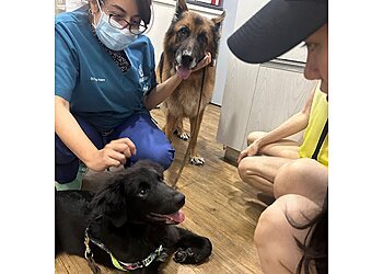 Geylang Veterinary Clinics EverVet Veterinary Clinic Eunos image 2 Geylang Veterinary Clinics EverVet Veterinary Clinic Eunos image 2