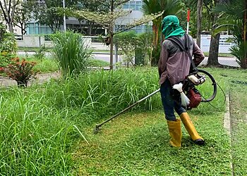 Toa Payoh Landscaping Companies Evergreen Landscape Services image 2 Toa Payoh Landscaping Companies Evergreen Landscape Services image 2