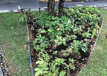 Toa Payoh Landscaping Companies Evergreen Landscape Services image 3 Toa Payoh Landscaping Companies Evergreen Landscape Services image 3