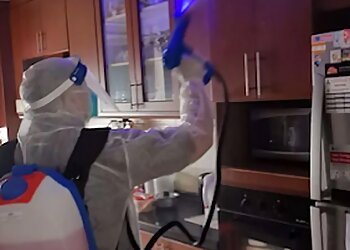 Ang Mo Kio Pest Control Companies Ezzy Pest Management Services image 3 Ang Mo Kio Pest Control Companies Ezzy Pest Management Services image 3