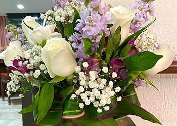 Ferns N Petals photo Ferns N Petals