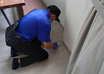 Bishan Pest Control Companies Fidz Pest Management image 2 Bishan Pest Control Companies Fidz Pest Management image 2