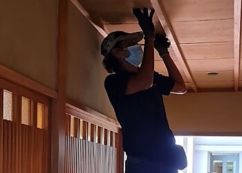 Tampines Pest Control Companies First Choice Pest Specialist Pte. Ltd. image 2 Tampines Pest Control Companies First Choice Pest Specialist Pte. Ltd. image 2