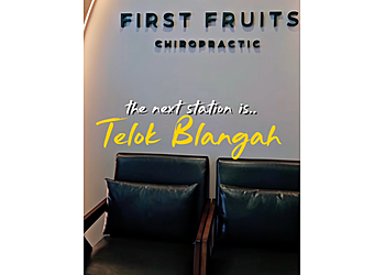 Telok Blangah Chiropractors First Fruits Chiropractic Singapore @ Telok Blangah image 3 Telok Blangah Chiropractors First Fruits Chiropractic Singapore @ Telok Blangah image 3