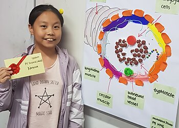 Choa Chu Kang Tuition Centres Five Star Tuition Centre Pte. Ltd. image 2 Choa Chu Kang Tuition Centres Five Star Tuition Centre Pte. Ltd. image 2