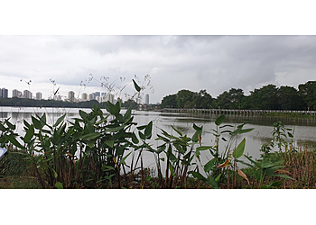 Jurong East Public Parks Floating Wetlands image 3 Jurong East Public Parks Floating Wetlands image 3