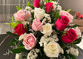 Flower Chimp Pte Ltd