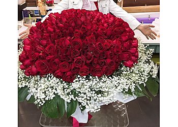 Flowers Flowers  image Flowers Flowers