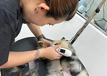 Serangoon Pet Services Fluffy Furries image 2 Serangoon Pet Services Fluffy Furries image 2