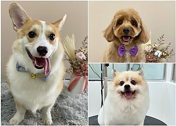 Serangoon Pet Services Fluffy Furries image 3 Serangoon Pet Services Fluffy Furries image 3