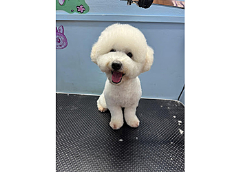 Yishun Pet Services Fluffy Paradise SG image 3 Yishun Pet Services Fluffy Paradise SG image 3
