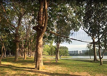 Forest Adventure photo Forest Adventure