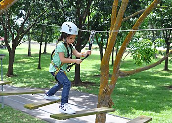 Forest Adventure image Forest Adventure