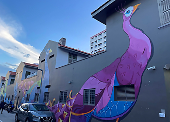 Little India Tourist Attractions Former House of Tan Teng Niah image 3 Little India Tourist Attractions Former House of Tan Teng Niah image 3