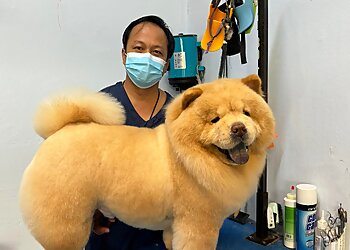 Yishun Pet Services Fur Friends' Pet Grooming & Salon image 2 Yishun Pet Services Fur Friends' Pet Grooming & Salon image 2