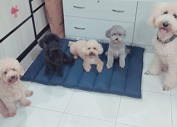 Furbabies Grooming photo Furbabies Grooming