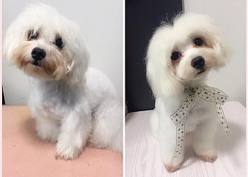 Furbabies Grooming image Furbabies Grooming