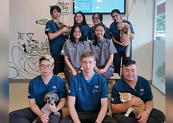 Hougang Veterinary Clinics Furiends Veterinary Clinic image 2 Hougang Veterinary Clinics Furiends Veterinary Clinic image 2