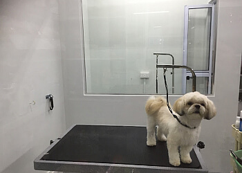 Furkids Home image Furkids Home