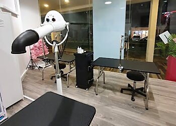 Kallang Pet Services Fursclass Pet Grooming Salon image 2 Kallang Pet Services Fursclass Pet Grooming Salon image 2