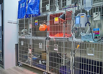 Little India Veterinary Clinics Gaia Vets Jalan Besar image 3 Little India Veterinary Clinics Gaia Vets Jalan Besar image 3