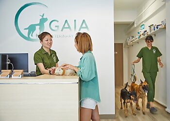 Gaia Vets Jalan Besar