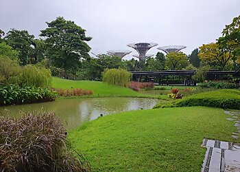 Marina Bay Public Parks Gardens by the Bay image 3 Marina Bay Public Parks Gardens by the Bay image 3
